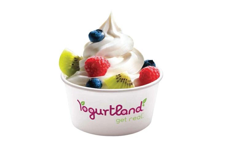 Frozen Yogurt